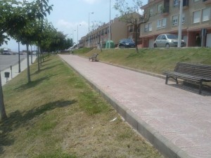 Calle y jardin 1