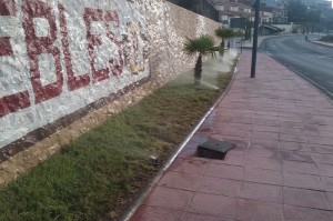 Jardin y muro